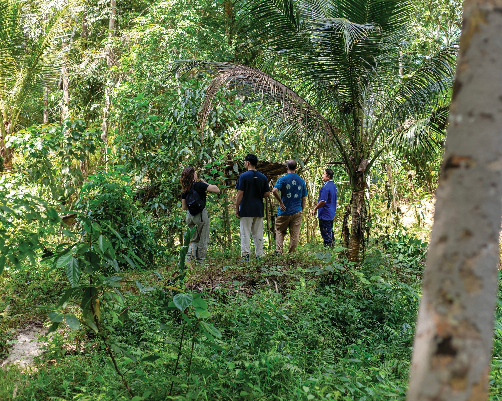 NFW and Terra Genesis team members in a Wanakaset forest garden.