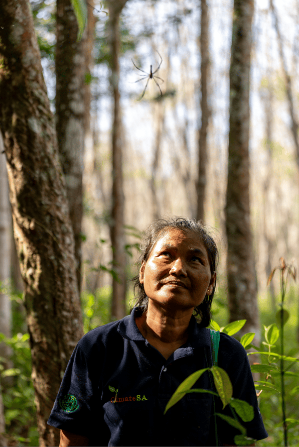 Wanakaset rubber regenerative agroforestry